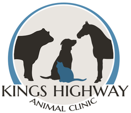 <span>Kings Hwy Animal Clinic</span>
logo