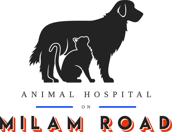 <span>Animal Hospital On Milam Road</span>
logo