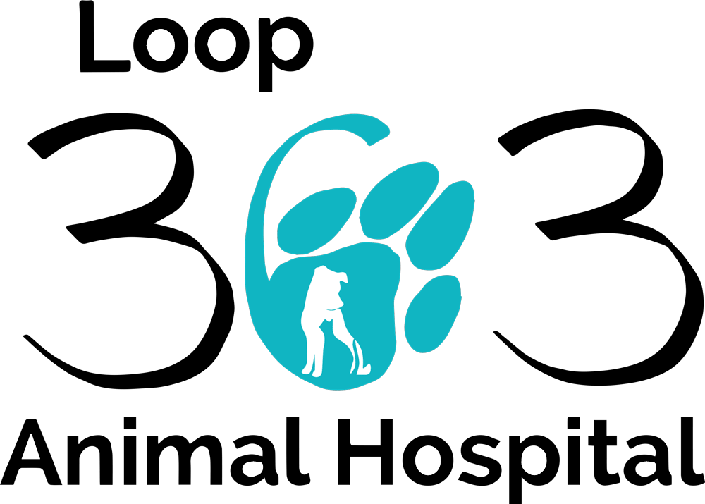 <span>Loop 363 Animal Hospital</span>
logo
