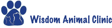 

<!-- THEME DEBUG -->
<!-- THEME HOOK: 'field' -->
<!-- FILE NAME SUGGESTIONS:
   * field--node--title--listing.html.twig
   x field--node--title.html.twig
   * field--node--listing.html.twig
   * field--title.html.twig
   * field--string.html.twig
   * field.html.twig
-->
<!-- BEGIN OUTPUT from 'core/themes/stable/templates/field/field--node--title.html.twig' -->
<span>Wisdom Animal Clinic Inc</span>

<!-- END OUTPUT from 'core/themes/stable/templates/field/field--node--title.html.twig' -->

 logo