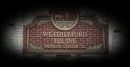 <span>Weatherford Equine Breeding Center</span>
logo