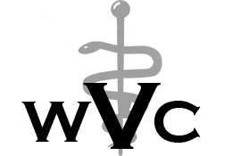 

<!-- THEME DEBUG -->
<!-- THEME HOOK: 'field' -->
<!-- FILE NAME SUGGESTIONS:
   * field--node--title--listing.html.twig
   x field--node--title.html.twig
   * field--node--listing.html.twig
   * field--title.html.twig
   * field--string.html.twig
   * field.html.twig
-->
<!-- BEGIN OUTPUT from 'core/themes/stable/templates/field/field--node--title.html.twig' -->
<span>Cody Pohler Inc</span>

<!-- END OUTPUT from 'core/themes/stable/templates/field/field--node--title.html.twig' -->

 logo