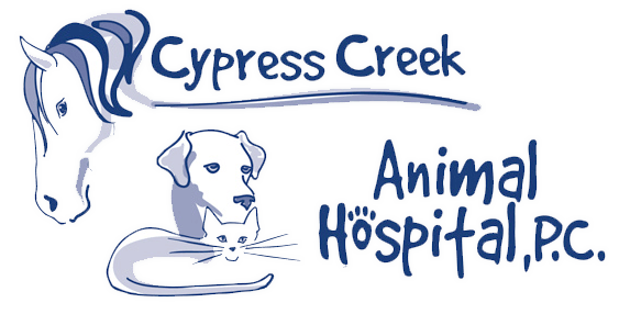 <span>Cypress Creek Animal Hospital</span>
logo