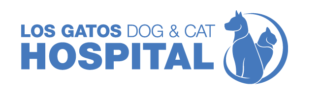 

<!-- THEME DEBUG -->
<!-- THEME HOOK: 'field' -->
<!-- FILE NAME SUGGESTIONS:
   * field--node--title--listing.html.twig
   x field--node--title.html.twig
   * field--node--listing.html.twig
   * field--title.html.twig
   * field--string.html.twig
   * field.html.twig
-->
<!-- BEGIN OUTPUT from 'core/themes/stable/templates/field/field--node--title.html.twig' -->
<span>Los Gatos Dog & Cat Hospital</span>

<!-- END OUTPUT from 'core/themes/stable/templates/field/field--node--title.html.twig' -->

 logo