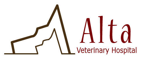 <span>Alta Veterinary Hospital</span>
 logo