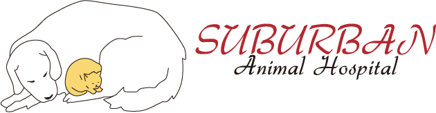 <span>Suburban Animal Hospital</span>
logo