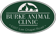 <span>Burke Animal Clinic</span>
logo