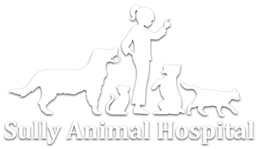 <span>Sully Animal Hospital</span>
logo