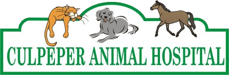 <span>Culpeper Animal Hospital</span>
logo