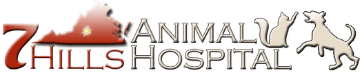 <span>Seven Hill Animal Hospital</span>
logo