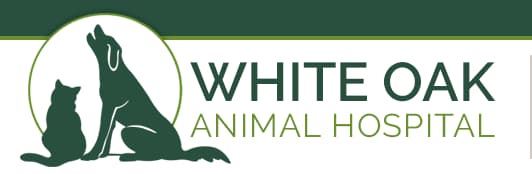 <span>White Oak Animal Hospital</span>
logo