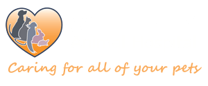 <span>Wellesley Animal Hospital</span>
logo