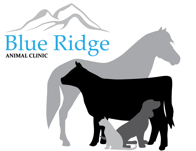 <span>Blue Ridge Animal Clinic PC</span>
logo