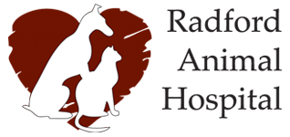 <span>Radford Animal Hospital</span>
logo