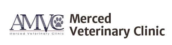 <span>Merced Veterinary Clinic</span>
logo