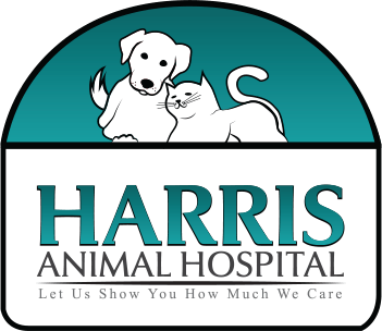 <span>Harris Animal Hospital</span>
logo