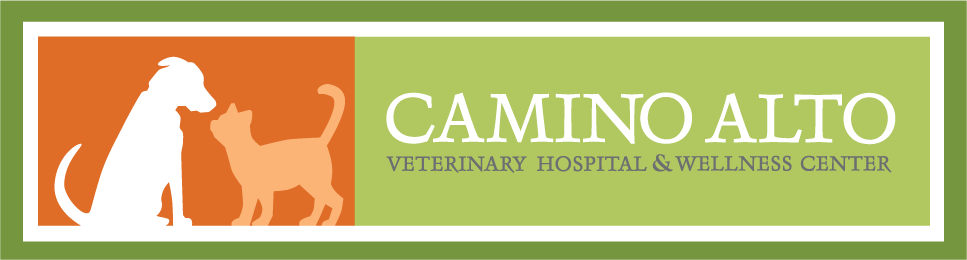 <span>Camino Alto Veterinary Hospital</span>
logo