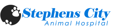 <span>Stephens City Animal Hospital</span>
logo
