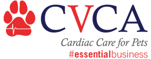 <span>Chesapeake Veterinary Cardiology Associates</span>
logo