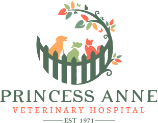 <span>Princess Anne Veterinary Hospital</span>
logo