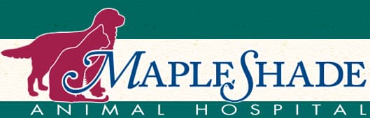 <span>Mapleshade Animal Hospital</span>
logo