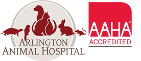 <span>Arlington Animal Hospital</span>
logo