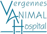 <span>Vergennes Animal Hospital</span>
logo