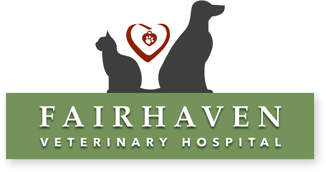 <span>Fairhaven Veterinary Hospital</span>
logo