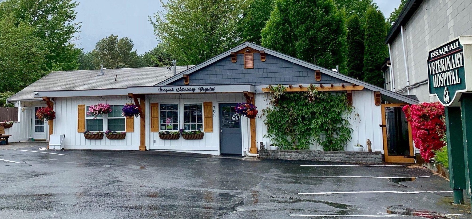 <span>Issaquah Veterinary Hospital</span>
logo