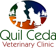 <span>Quil Ceda Veterinary Clinic</span>
 logo