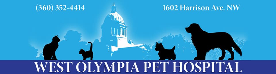 <span>West Olympia Pet Hospital</span>
logo