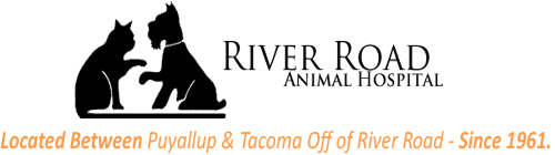 <span>River Road Animal Hospital</span>
logo