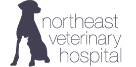 <span>Northeast Veterinary Hospital</span>
 logo