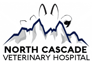 <span>North Cascade Vet Hospital</span>
logo
