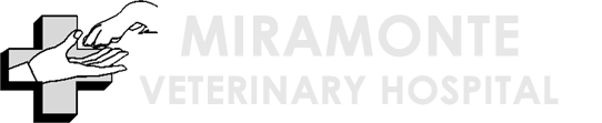 <span>Miramonte Veterinary Hospital</span>
logo