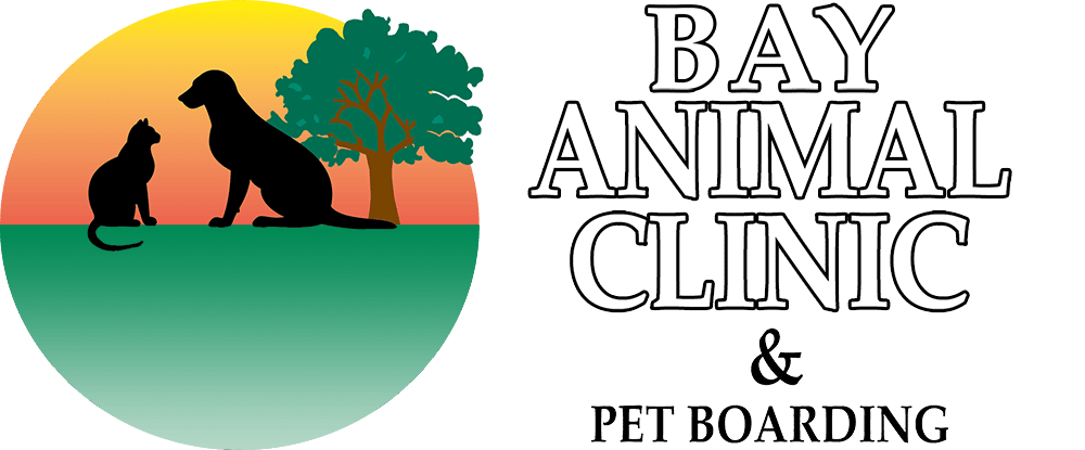 <span>Bay Animal Clinic</span>
 logo