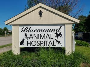 <span>Bluemound Animal Hospital</span>
logo