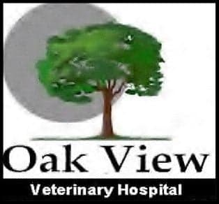<span>Oak View Veterinary Hospital</span>
logo