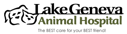 <span>Lake Geneva Animal Hospital</span>
logo