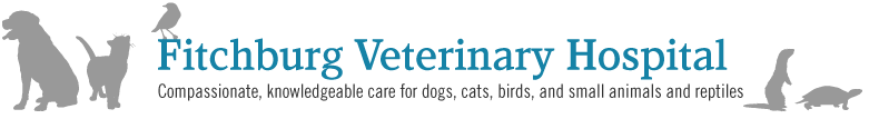 <span>Fitchburg Veterinary Hospital</span>
logo