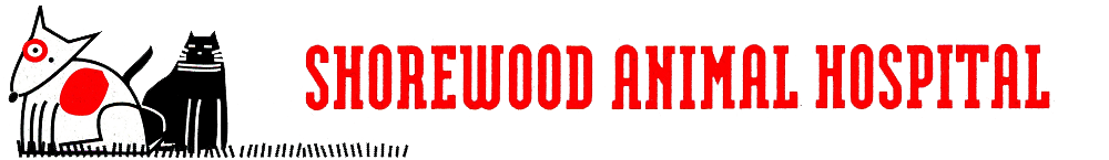 <span>Shorewood Animal Hospital</span>
logo