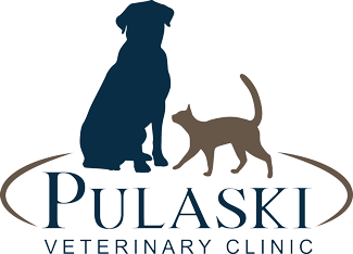 <span>Pulaski Veterinary Clinic Ltd</span>
logo