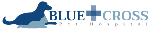 <span>Blue Cross Pet Hospital</span>
logo