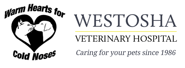 <span>Westosha Veterinary Hospital</span>
logo