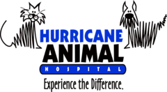 <span>Hurricane Animal Hospital</span>
logo
