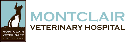 <span>Montclair Veterinary Hospital</span>
logo