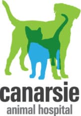 <span>Canarsie Animal Hospital</span>
logo