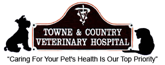 <span>Towne & Country Veterinary Hospital</span>
logo