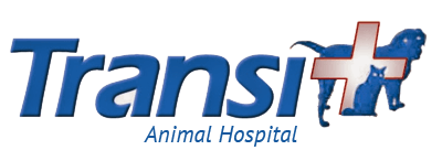 <span>Transit Animal Hospital</span>
logo