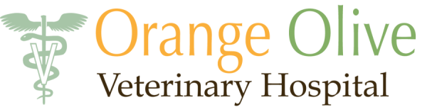 <span>Orange-Olive Veterinary Hospital</span>
logo